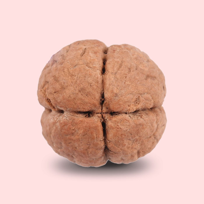 4 Line Buddha Chitta Symbols of Rudra and Sons