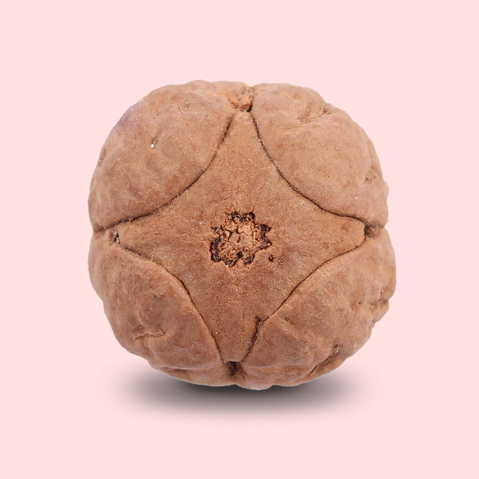 4 Line Buddha Chitta Symbols of Rudra and Sons